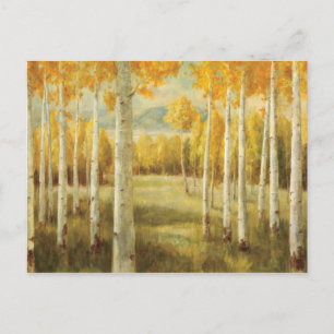 Aspen under hösten vykort