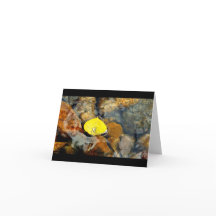 Aspen & vatten tappar det tomma kortet