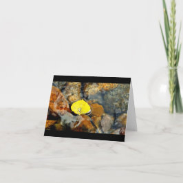 Aspen & vatten tappar det tomma kortet kort