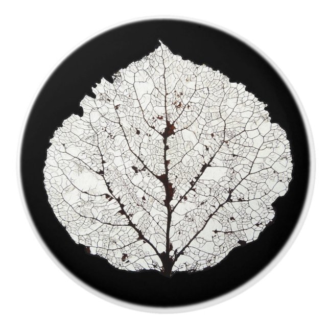 Aspenbladsskelett 1 knopp (Framsidan)