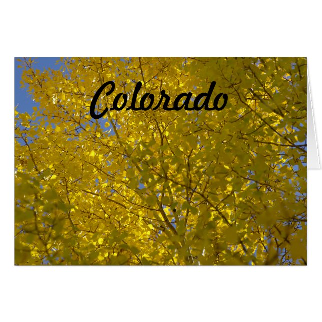 Aspenkort Hälsningskort (Framsidan Horizontal)