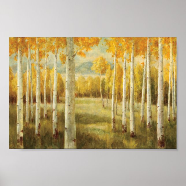 Aspens in Autumn Poster (Framsidan)
