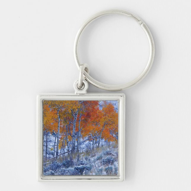 Aspenträd i höstfärger, Bighorn Mountains, Fyrkantig Silverfärgad Nyckelring (Framsidan)