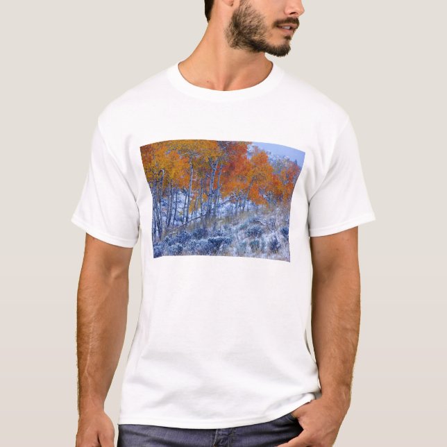 Aspenträd i höstfärger, Bighorn Mountains, T Shirt (Framsida)