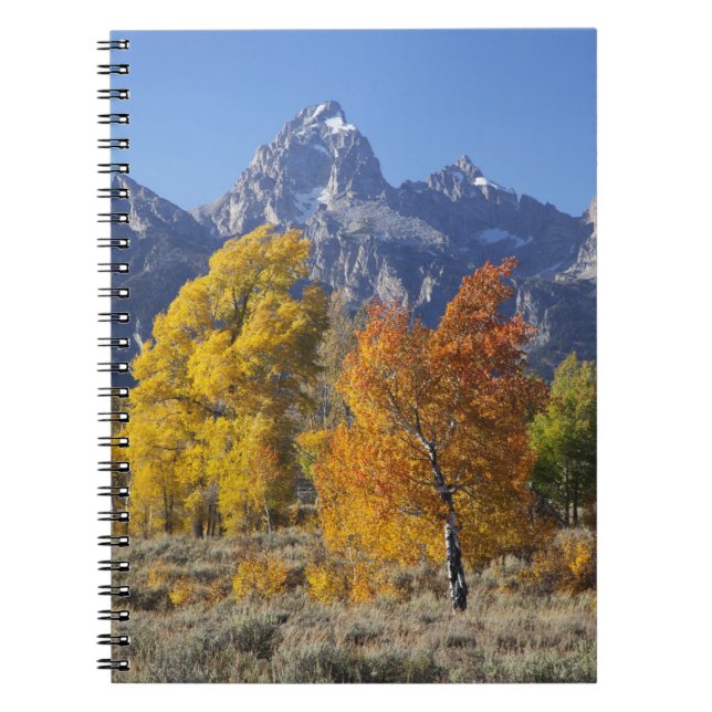 Aspenträd med Teton-bergskedjan Anteckningsbok (Framsidan)