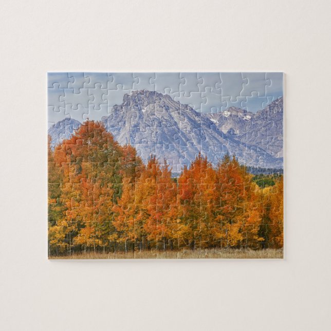 Aspenträd med Teton-bergskedjan Pussel (Horisontell)