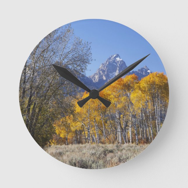 Aspenträd med Teton-bergskedjan Rund Klocka (Framsida)