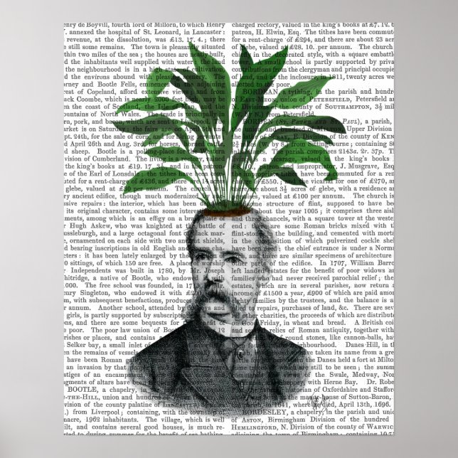 Aspidistra Head Plant Head Poster (Framsidan)