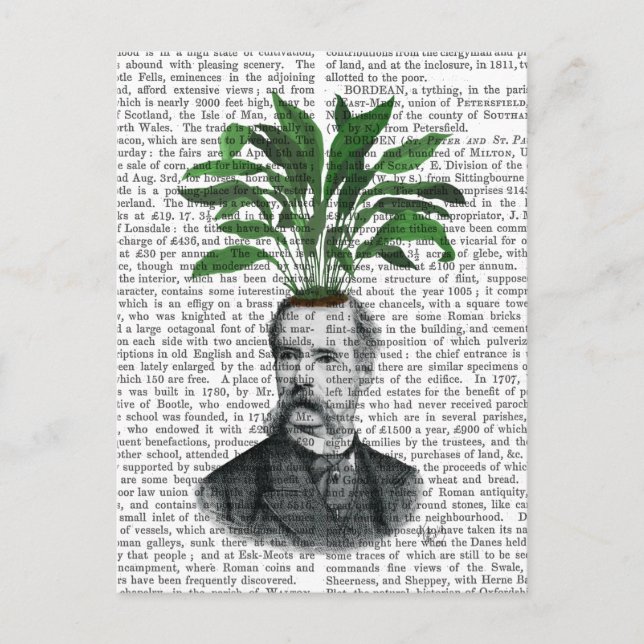 Aspidistra Head Plant Head Vykort (Framsida)