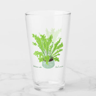 Asplenium Bird's nest fern - teckning på vitt. Glaskopp