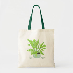 Asplenium Bird's nest fern - teckning på vitt. Tygkasse