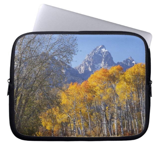 Aspsträd med Teton-bergskedjan Laptop Fodral (Framsidan)