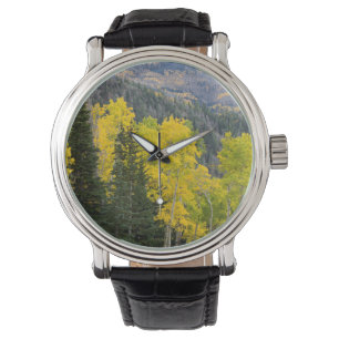 Aspsträd (Populus Tremuloides) och barrträd 2 Armbandsur