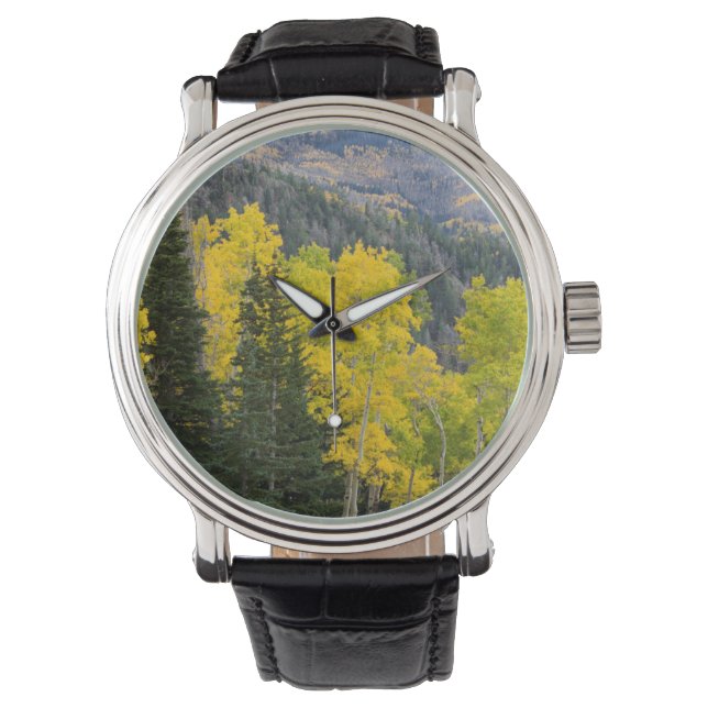 Aspsträd (Populus Tremuloides) och barrträd 2 Armbandsur (Framsida)