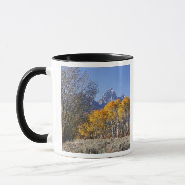 Aspväxter med Teton-bergskedjan Mugg (Vänster)