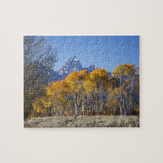Aspväxter med Teton-bergskedjan Pussel (Horisontell)