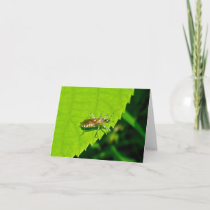 Assassin Kryp i fängelset Garb Note Card Kort