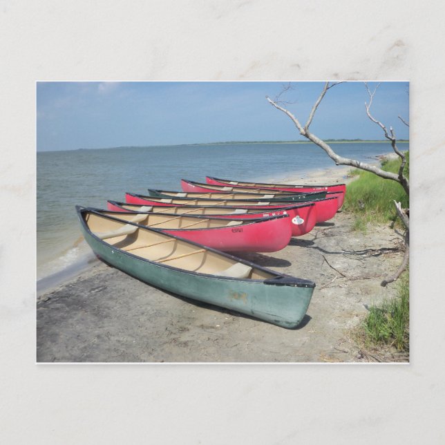 Assateague Canoes Vykort (Framsida)