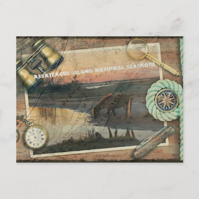 Assateague/Chincoteague vykort (Framsida)