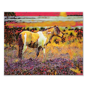 Assateague eller Chincoteague Ponies Fototryck