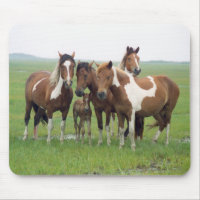 Assateague Island Horses Mousepad