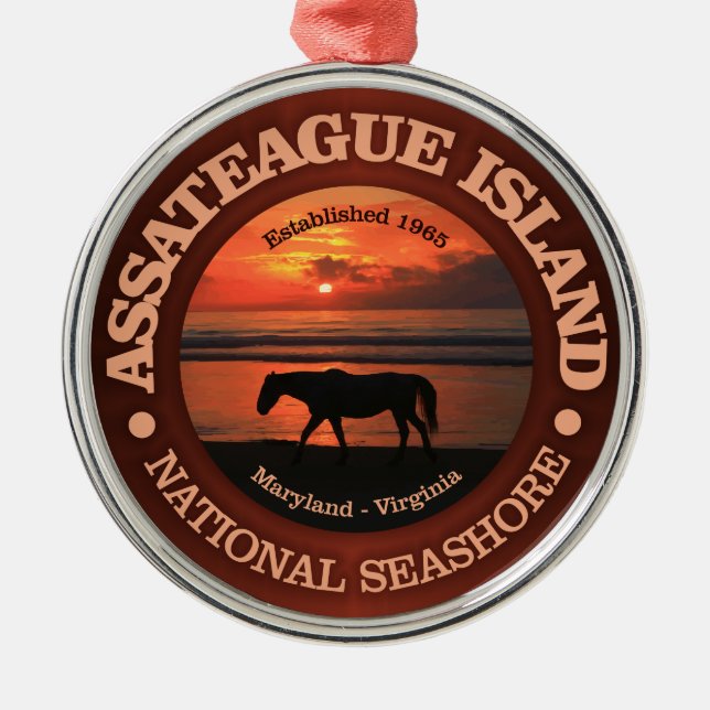 Assateague Island National Seashore Julgransprydnad Metall (Framsidan)