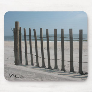 Assateague Island National Seashore Musmatta