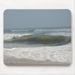 Assateague Island National Seashore Musmatta