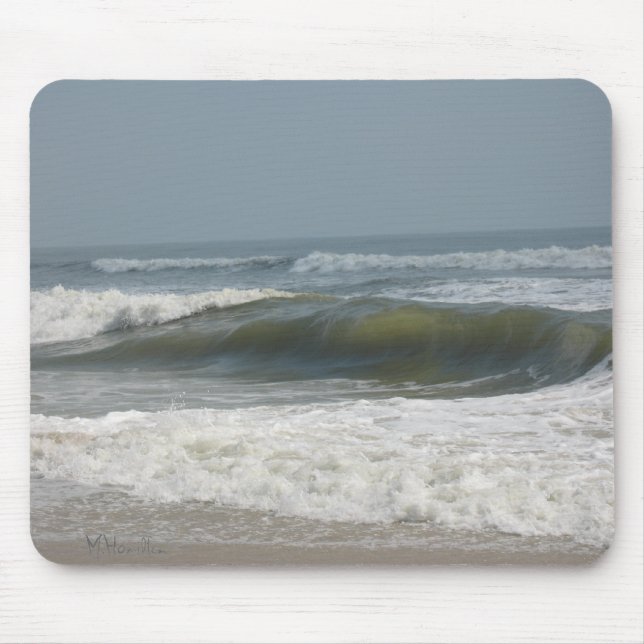 Assateague Island National Seashore Musmatta (Framsidan)