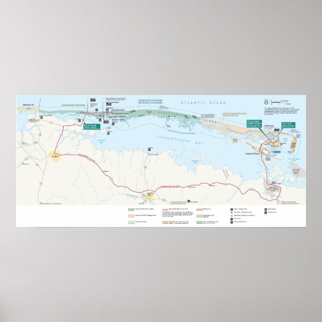 Assateague Island National Seashore Poster (Framsidan)