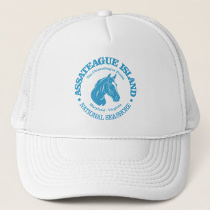 Assateague Island (ponny) Keps