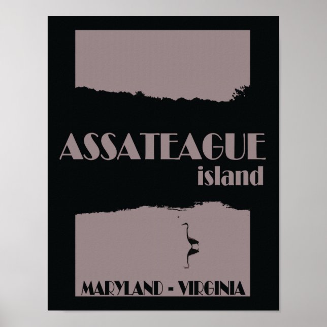 Assateague Island Travel Poster (Framsidan)