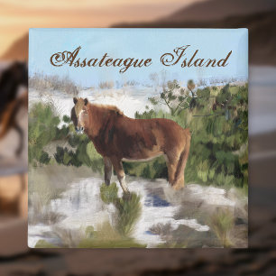 Assateague Island Vild Horse Magnet