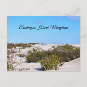 Assateague Island vykort