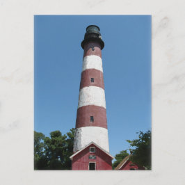 Assateague Lighthouse Vykort