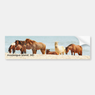 Assateague öbildekal bildekal