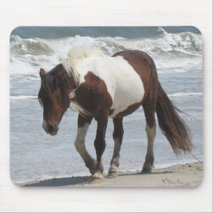 Assateague öponny musmatta