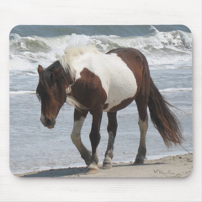 Assateague öponny musmatta (Framsidan)