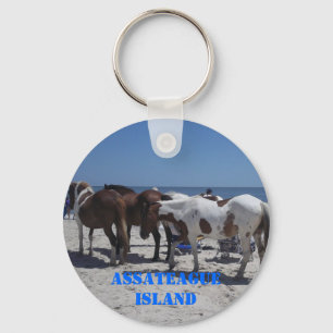 Assateague öponnyer nyckelring
