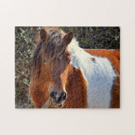 Assateague Pinto Mare Macky Pussel