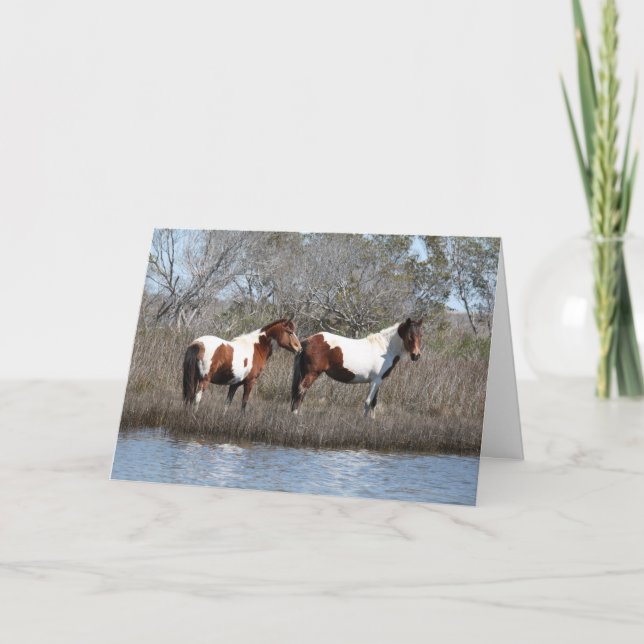 Assateague Ponies, tack Helgkort (Framsida)