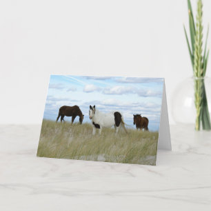 Assateague Ponies, tack Helgkort