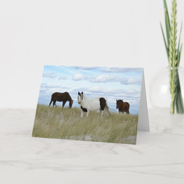 Assateague Ponies, tack Helgkort (Framsida)
