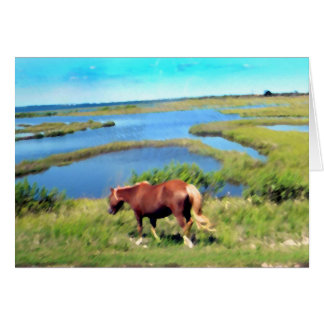 Assateague ponny hälsningskort