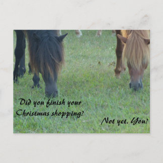 Assateague ponnyjulkort och frimärken helg vykort