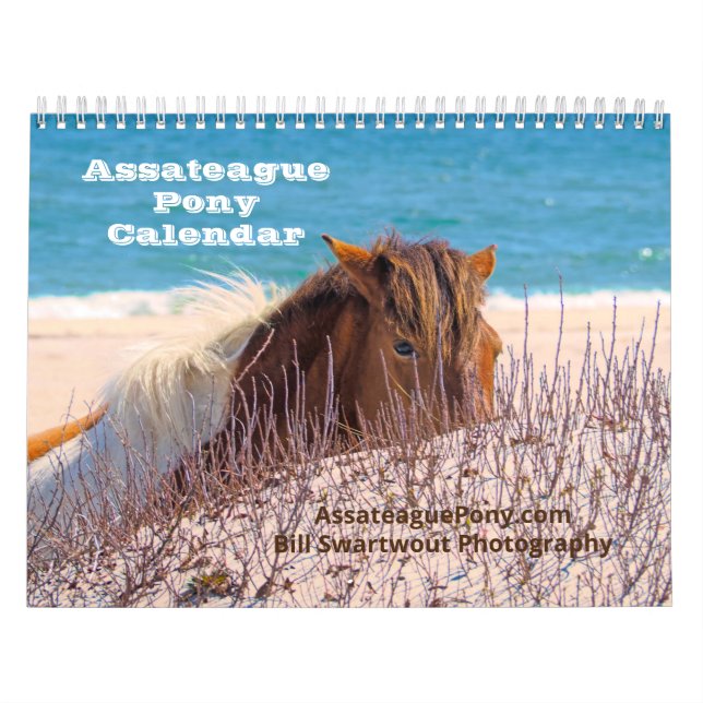 Assateague Pony Calendar Kalender (Omslag)