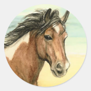 "Assateague Pony" Horse Art Sticker Runt Klistermärke