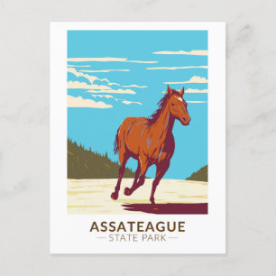 Assateague State Park Maryland Badge Vykort