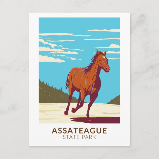 Assateague State Park Maryland Badge Vykort (Framsida)