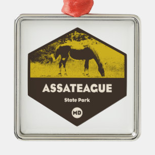 Assateague State Park Maryland Julgransprydnad Metall